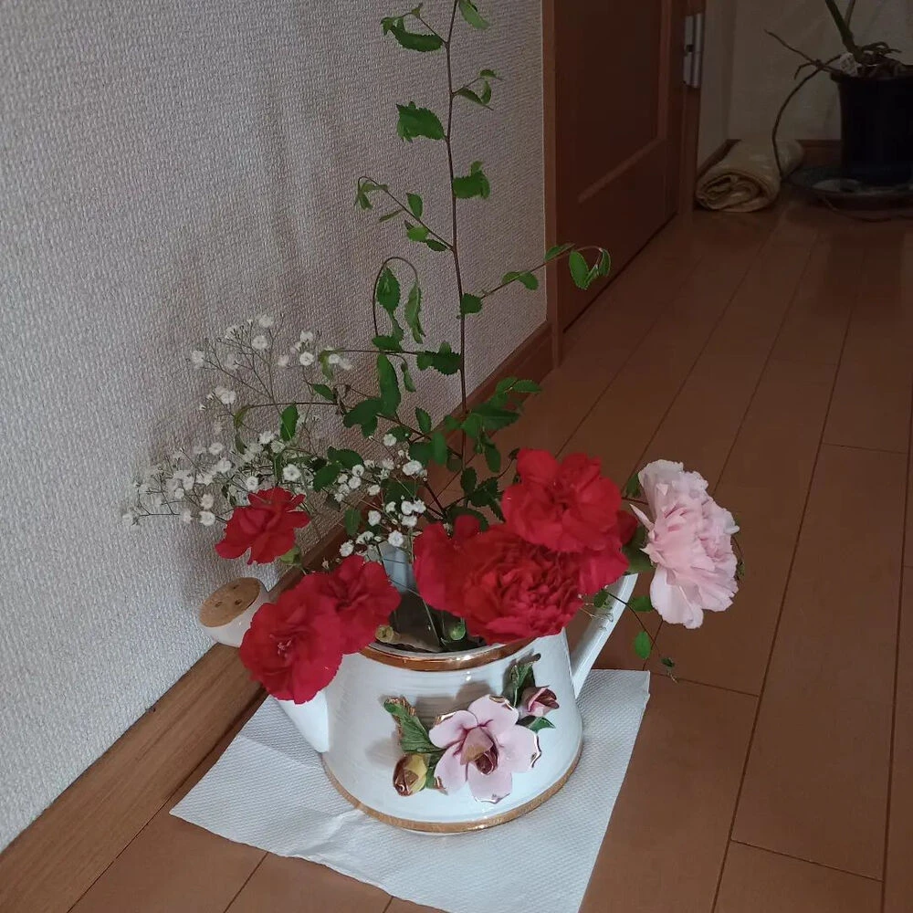 ブログ画像